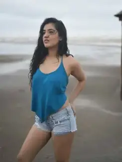 Working Girl jaipur call girl